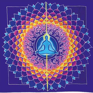 Meditation for Parasympathetic Nerve