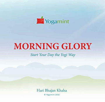 Morning Glory